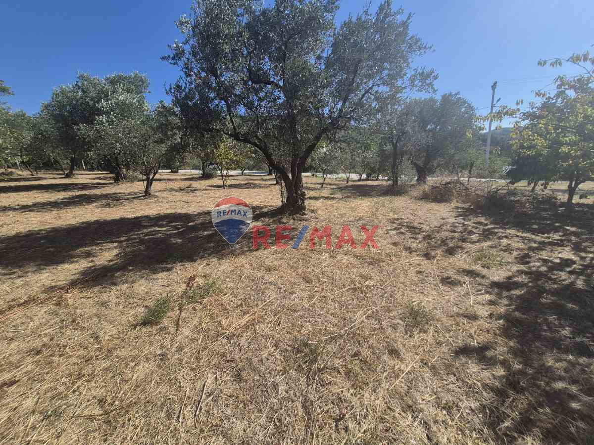 REMAX ÇARŞI'DAN KARAMÜRSEL'DE İMARLI ARSA