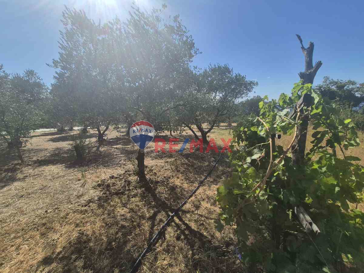 REMAX ÇARŞI'DAN KARAMÜRSEL'DE İMARLI ARSA