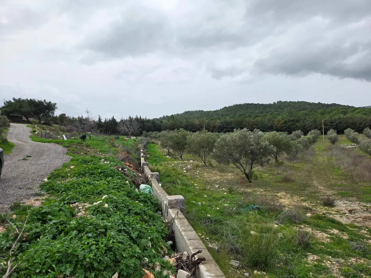 URLA YAĞCILAR'DA KOOPERATİF HİSSELİ YATIRIM 250 M2 SATILIK TARLA