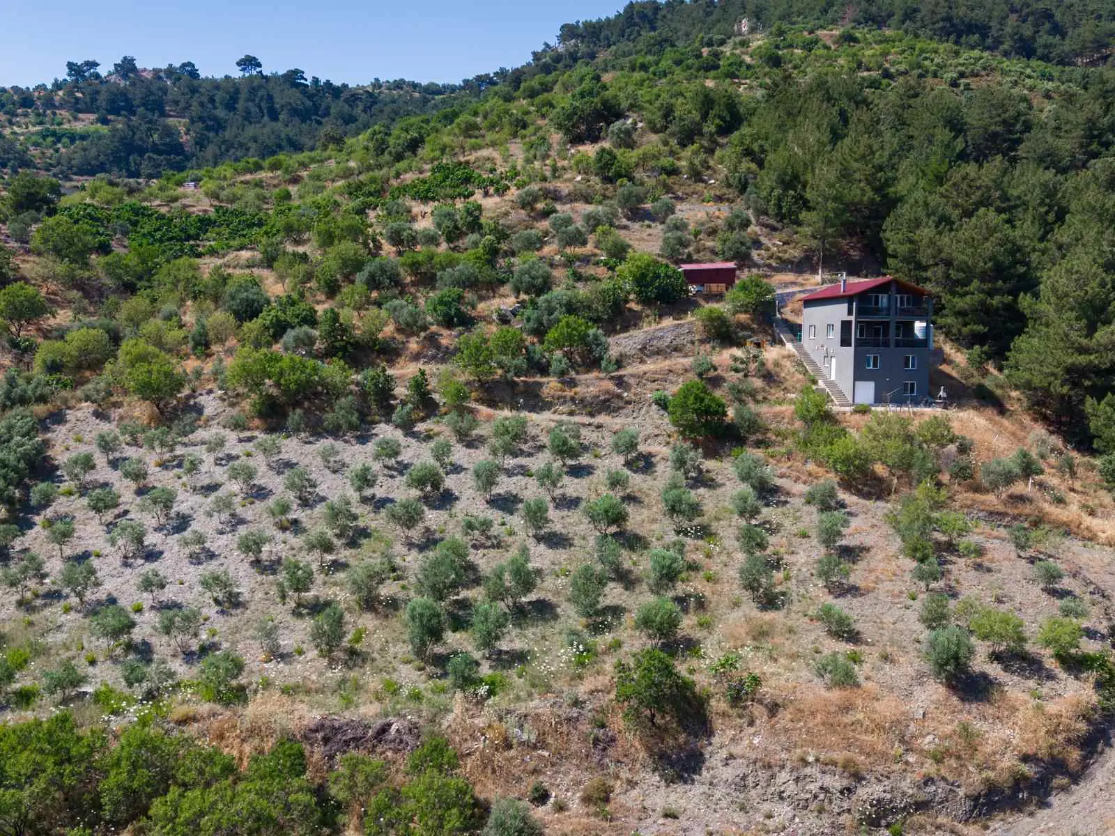 Property image 6