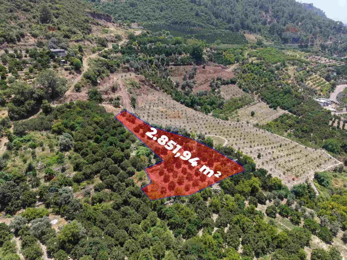 REMAX AVLU’DAN DEĞİRMENÇAY’DA SATILIK 2.851 M2 VERİMLİ MEYVE BAHÇESİ