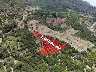 REMAX AVLU’DAN DEĞİRMENÇAY’DA SATILIK 2.851 M2 VERİMLİ MEYVE BAHÇESİ