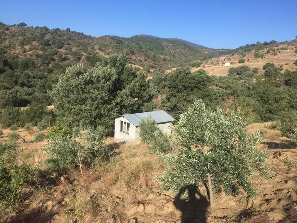 MANİSA DEMİRCİ İSMAİLLER’DE MÜSTAKİL PARSEL SATILIK MEYVE BAHÇESI