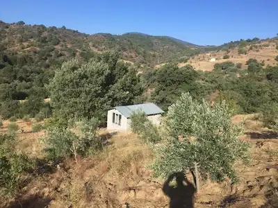 MANİSA DEMİRCİ İSMAİLLER’DE MÜSTAKİL PARSEL SATILIK MEYVE BAHÇESI