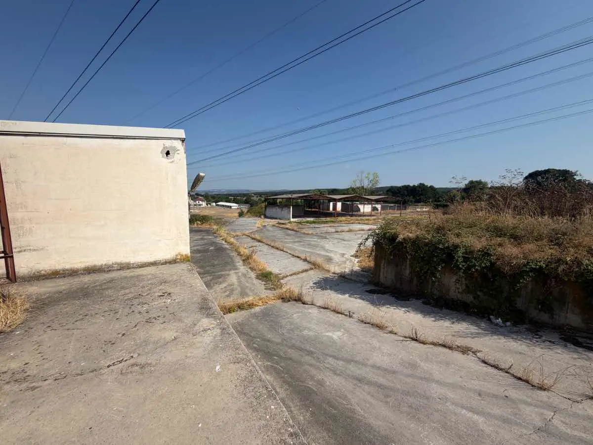 Property image 19