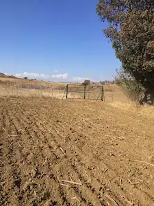 REMAX NİLSU GÜNER'DEN EDİRNE KEŞAN MECİDİYE'DE SATILIK TARLA
