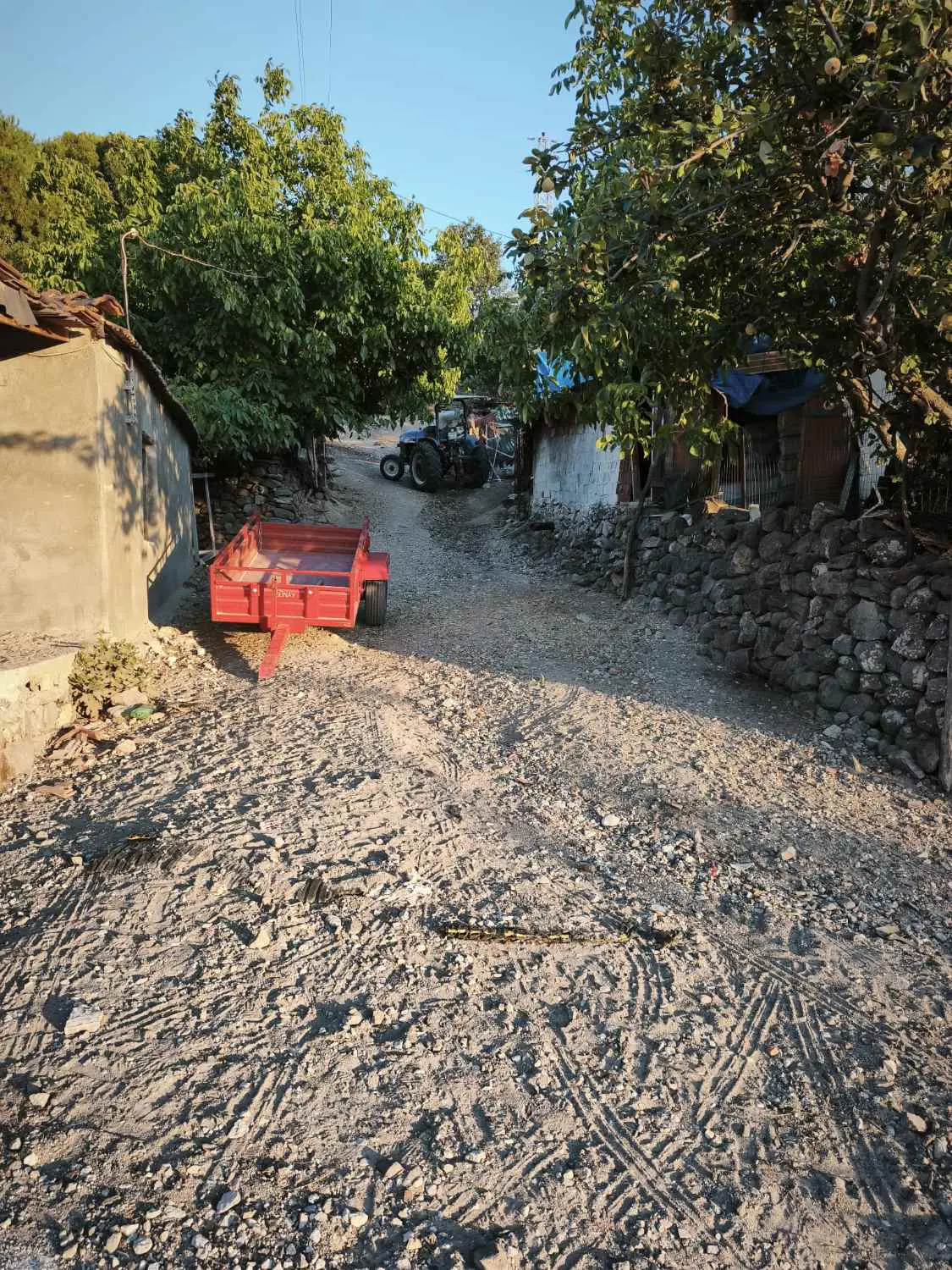 Property image 23
