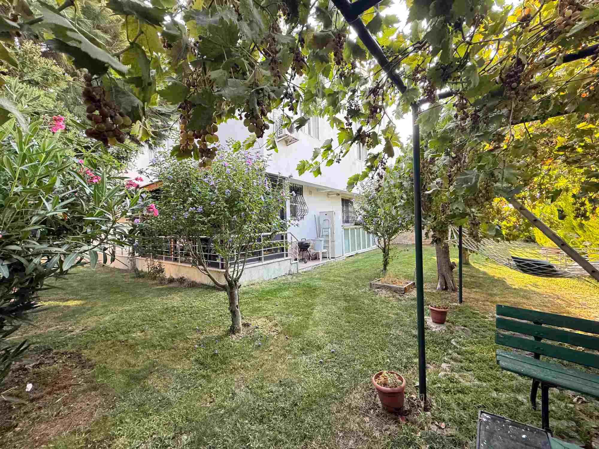 Property image 27