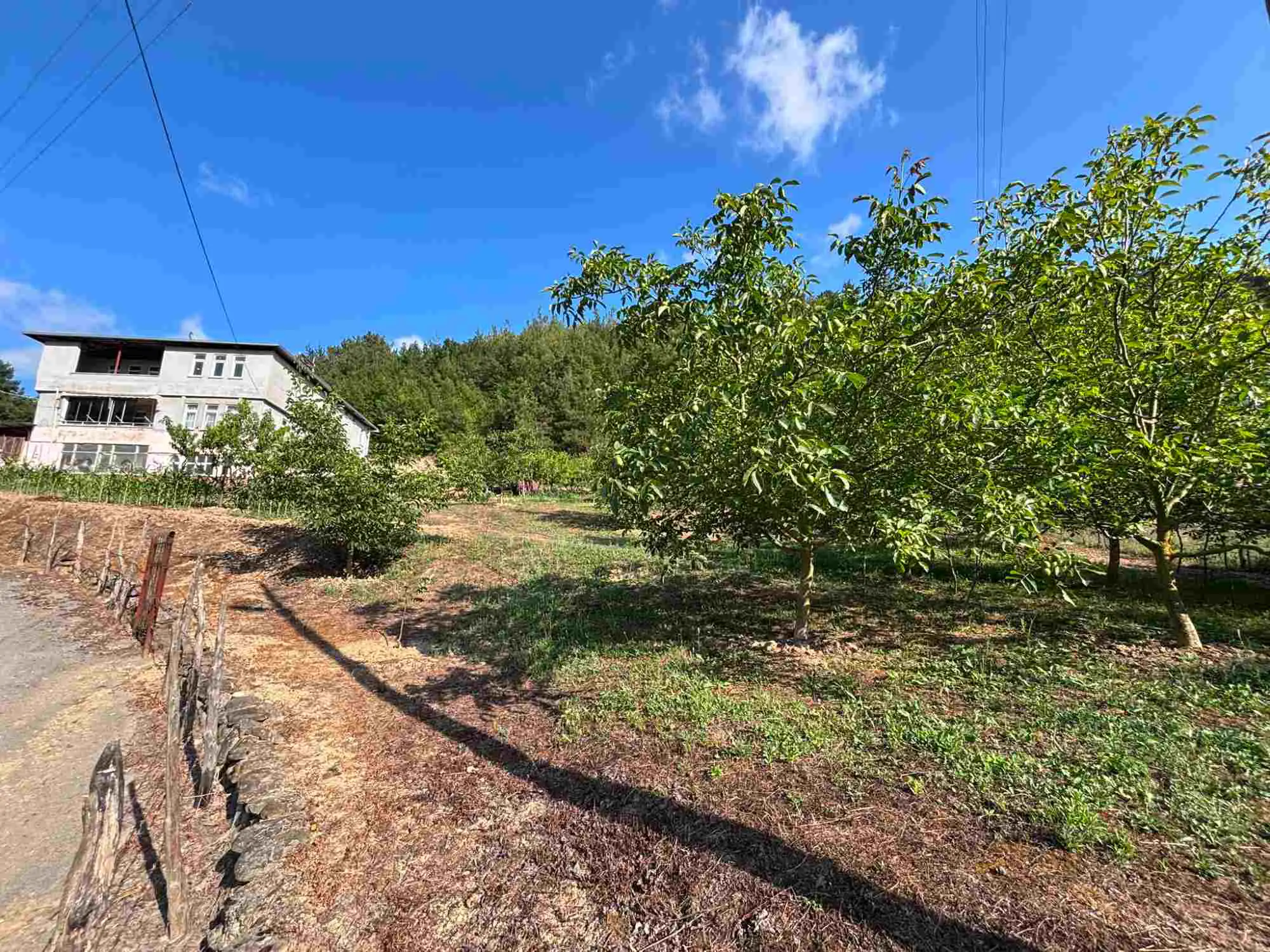 Property image 24