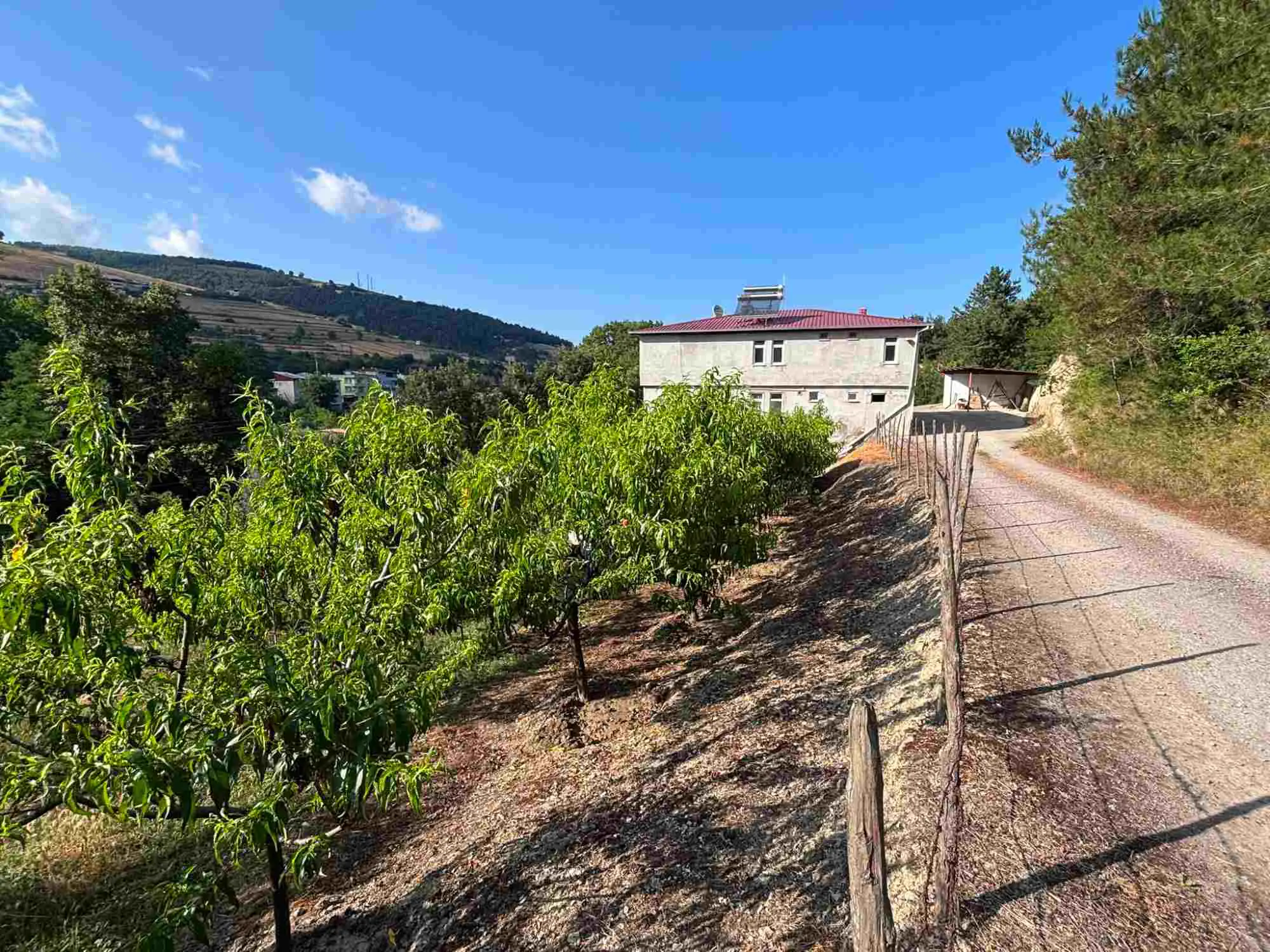 Property image 20