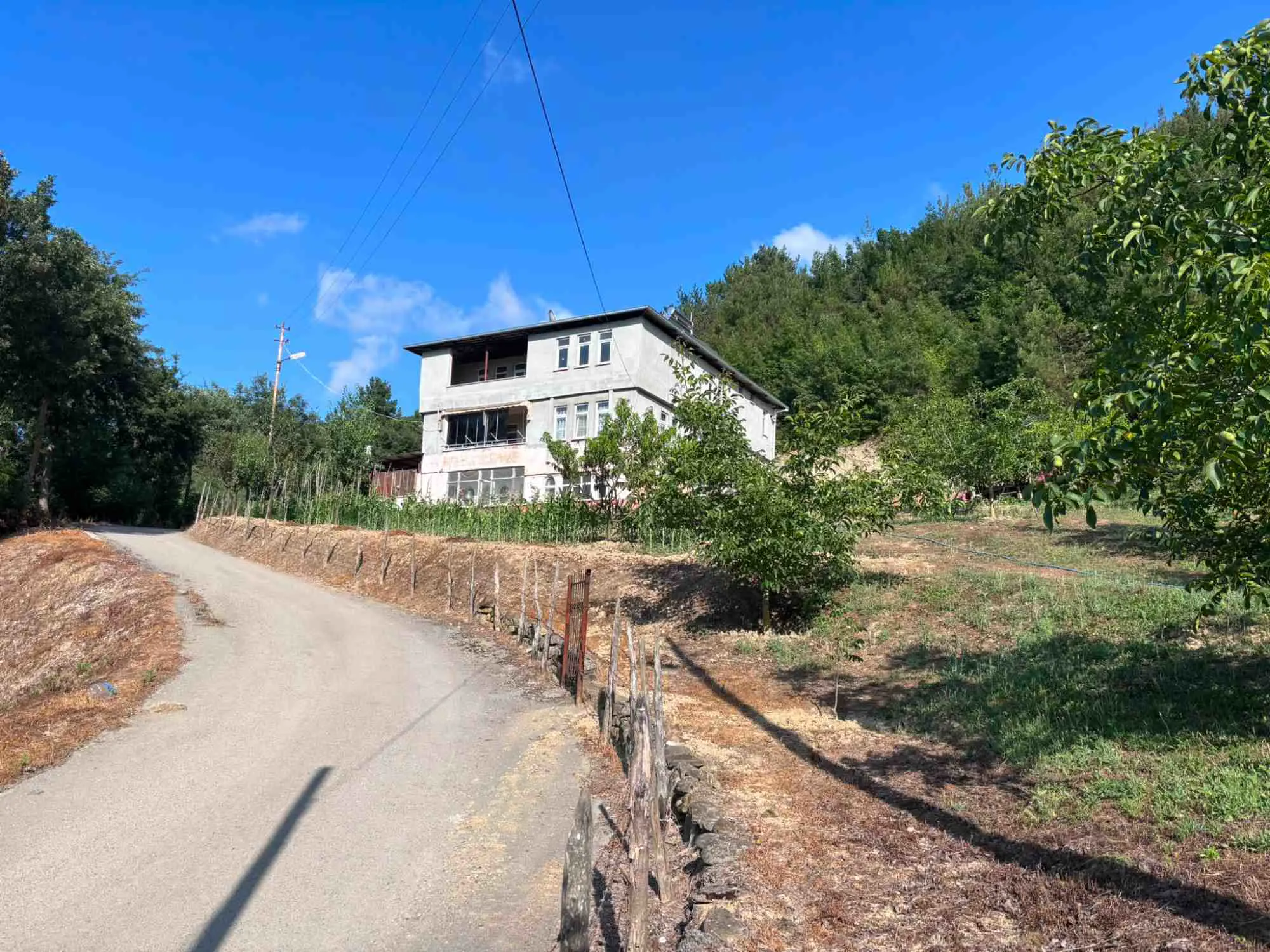 Property image 40