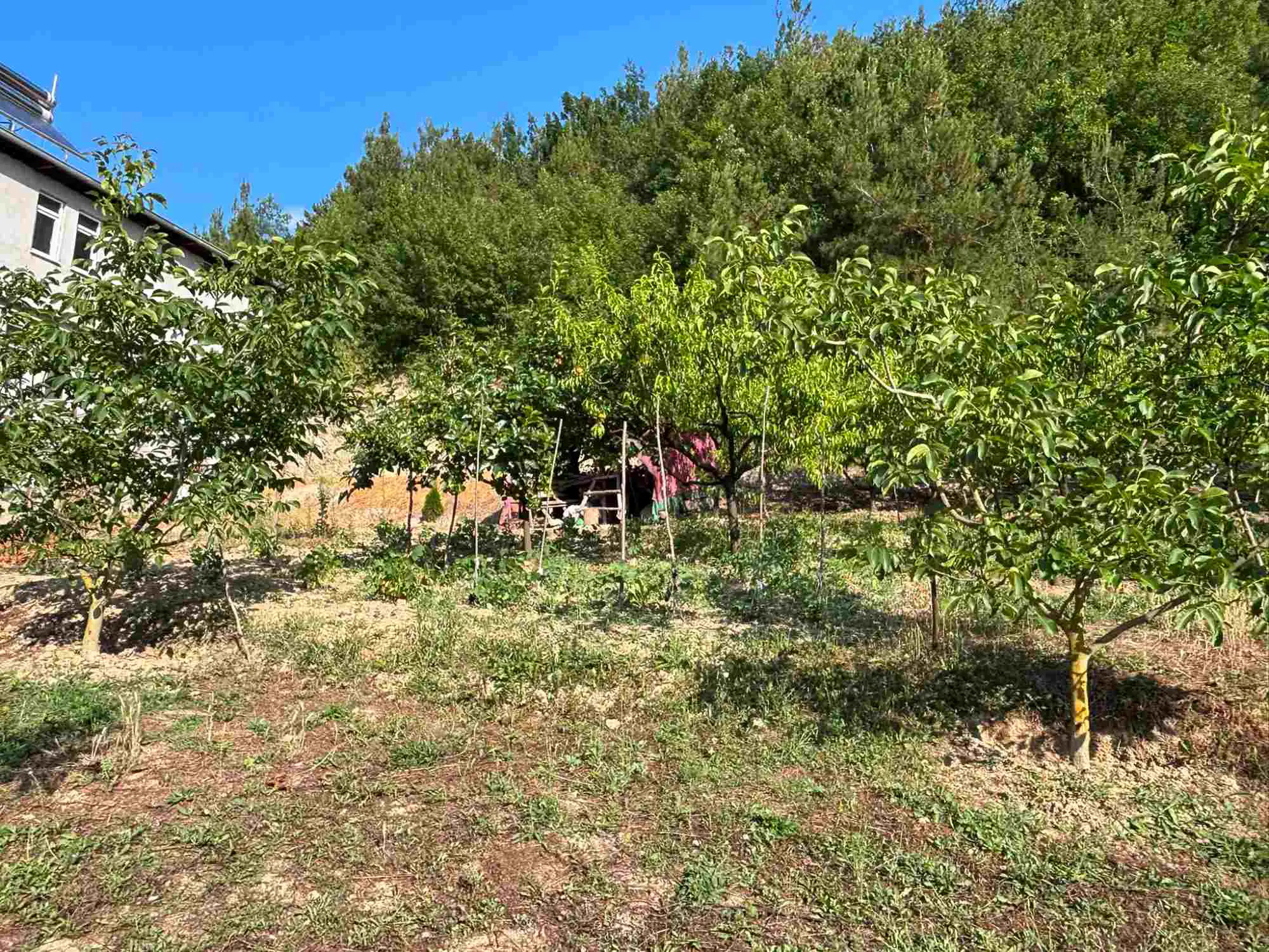 Property image 26