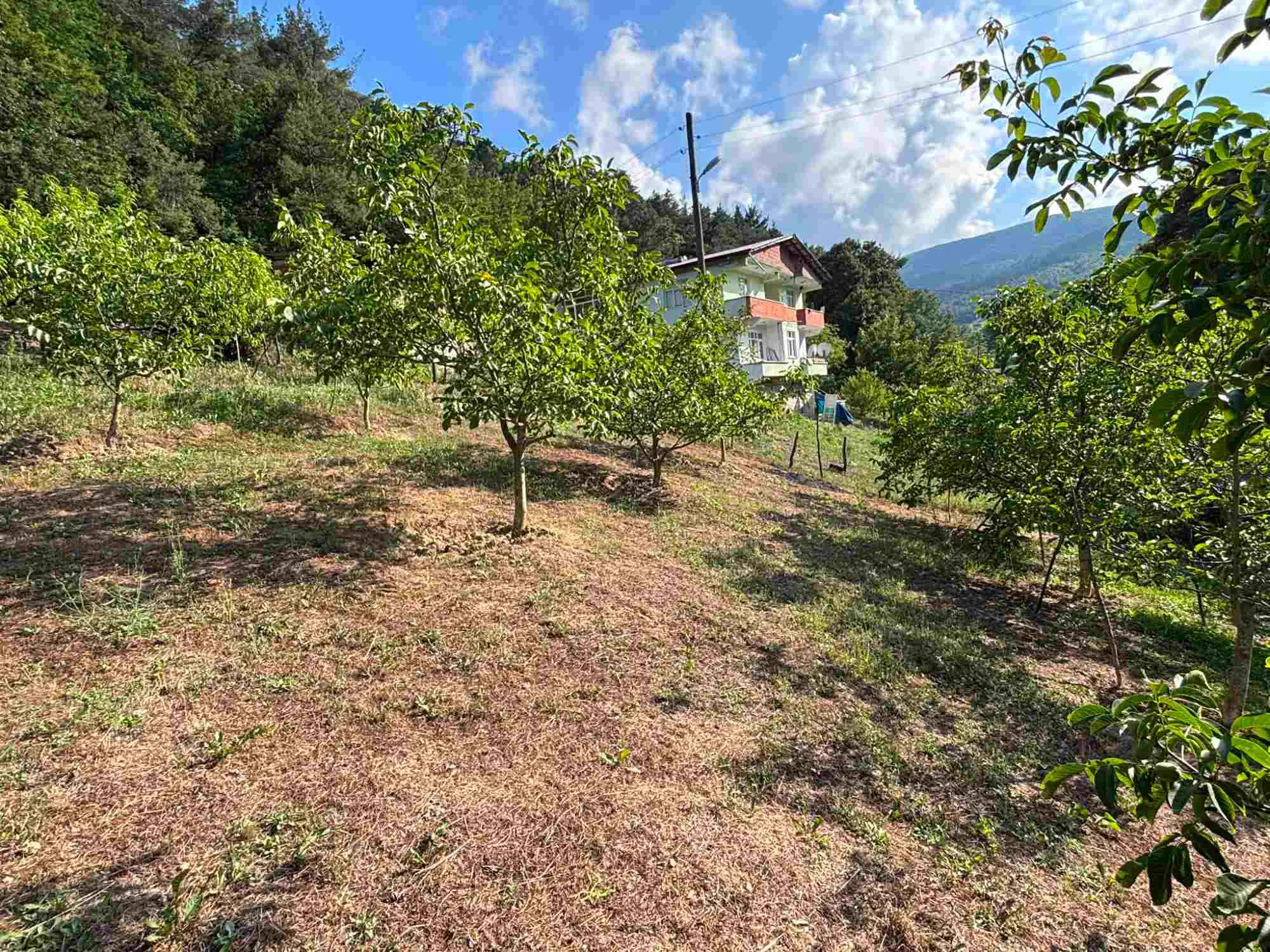 Property image 42