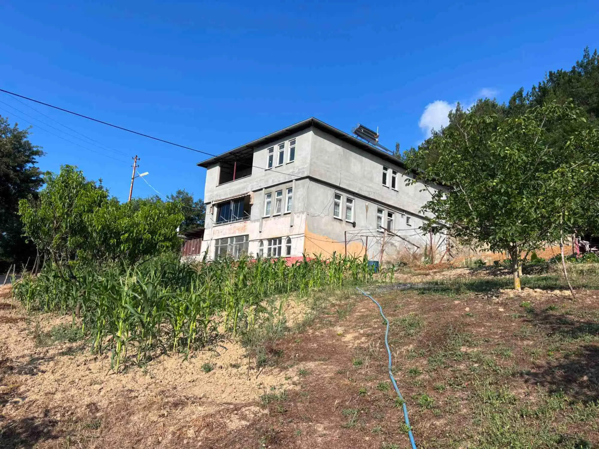 Property image 14
