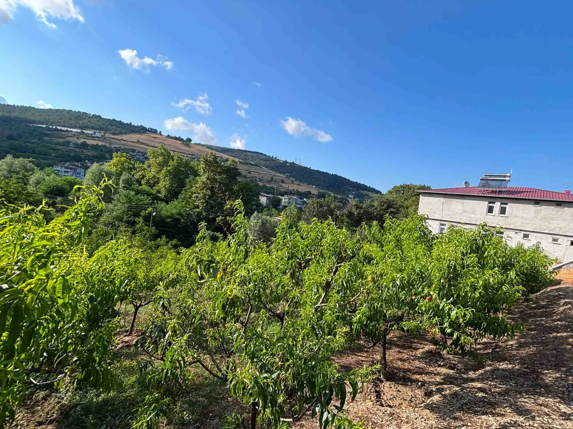 Property image 37