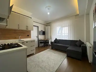 REMAX İLKE'DEN DADAŞKENT'TE 1+1 SIFIR EŞYALI KIRACILI 0 SATILIK DAİRE