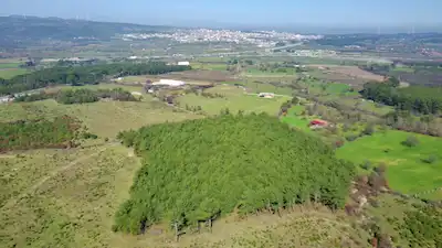 ÇANAKKALE AYVACIK SAZLI KÖYÜNDE SATILIK 20.668M FIRSAT ARAZİ