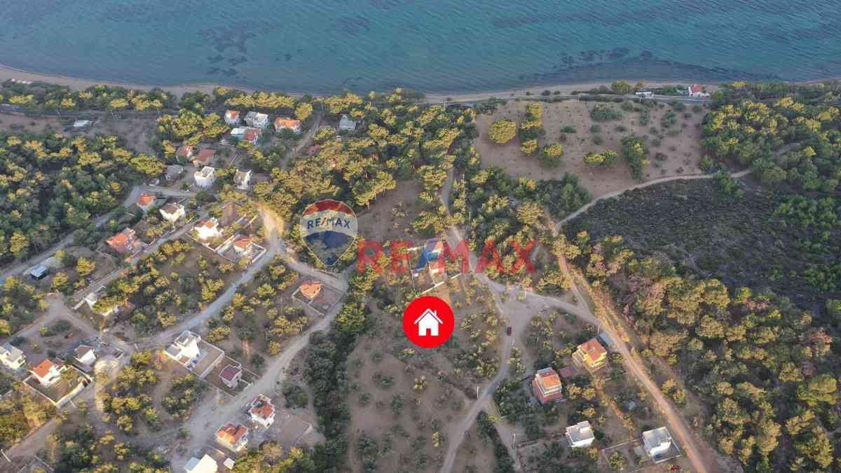 ÇANAKKALE EZİNE TAVAKLI KÖYÜ'NDE 305M2 İMARLI SATILIK ARSA