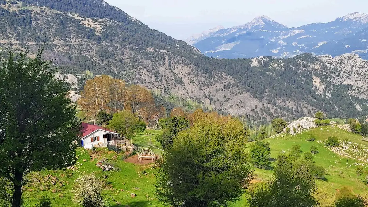 KONYAALTI YARBAŞÇANDIR KÖKEZDE KÖŞE PARSEL