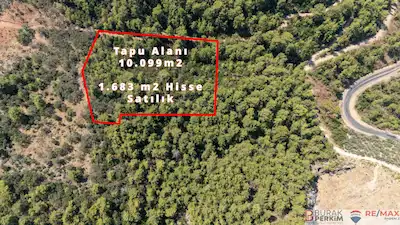 BURAK PERKİM 'DEN FETHİYE GÖCEK BELENPINARDA SATILIK ZEYTİNLİK
