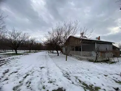 HASIRCILARDA SATILIK 7.951 M² KAYISI BAHÇESI