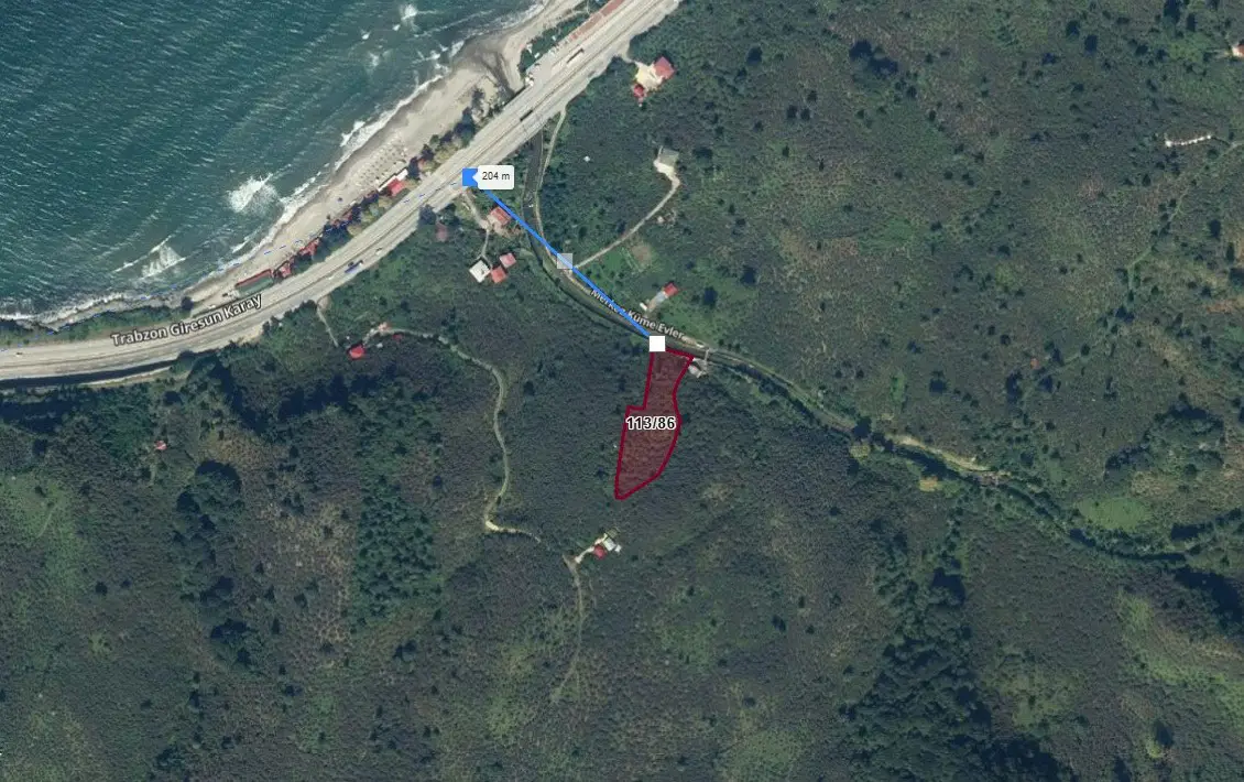 GİRESUN KEŞAP YOLAĞZI’NDA 3.826 M² SATILIK VERİMLİ FINDIK BAHÇESİ