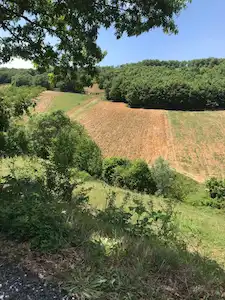 BURSA İZNİK TACİR'DE SATILIK 7.596 M2 MÜSTAKİL TARLA