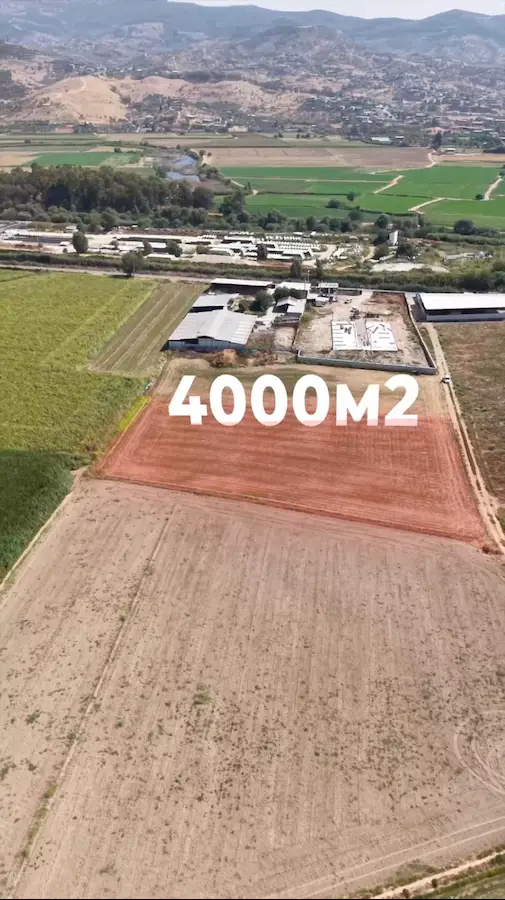 REMAX PİN'DEN AYDIN EFELER GÖLHİSAR’DA 4 DÖNÜM SATILIK TARLA