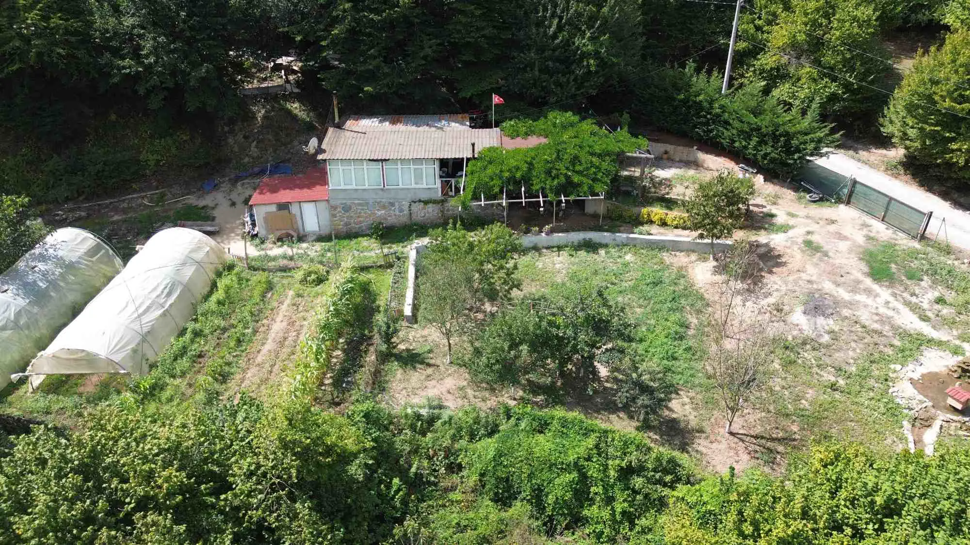 Property image 10