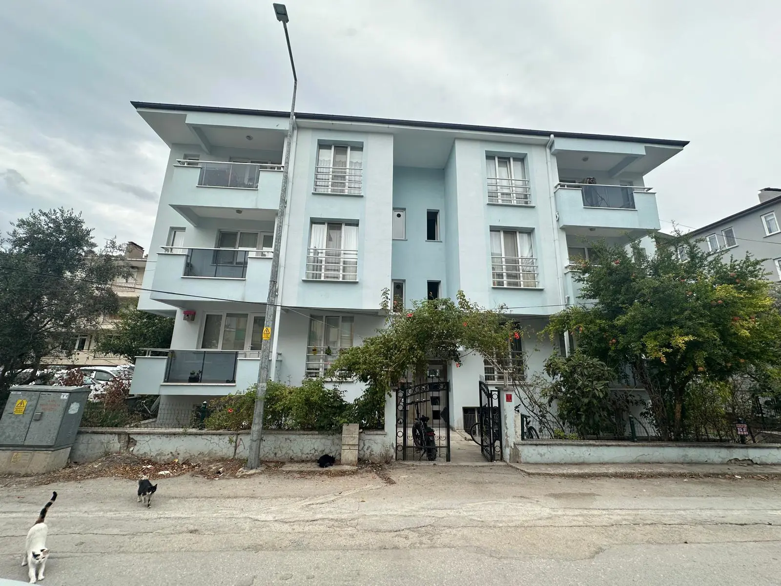 Property image 18