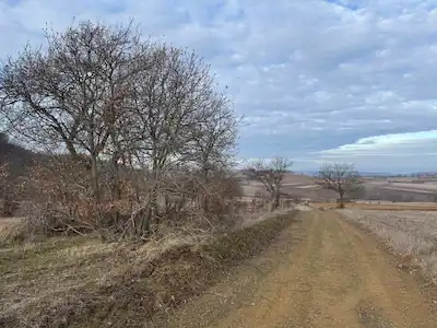 BILECIK-SÖĞÜT-ORTACA'DA 26 DÖNÜM 260 MT YOLA CEPHE ARAZI REMAX