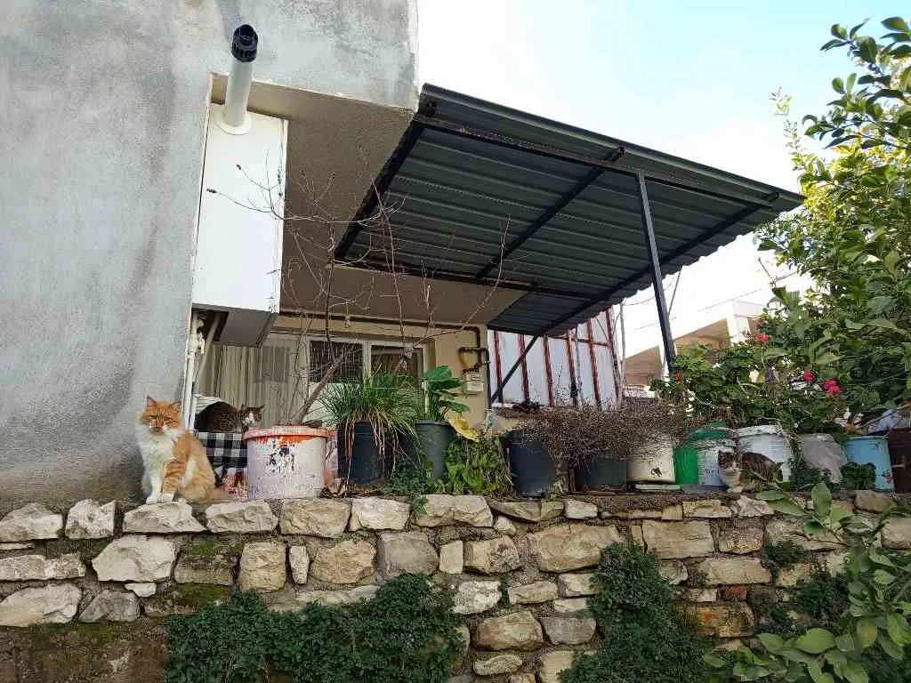 Property image 60