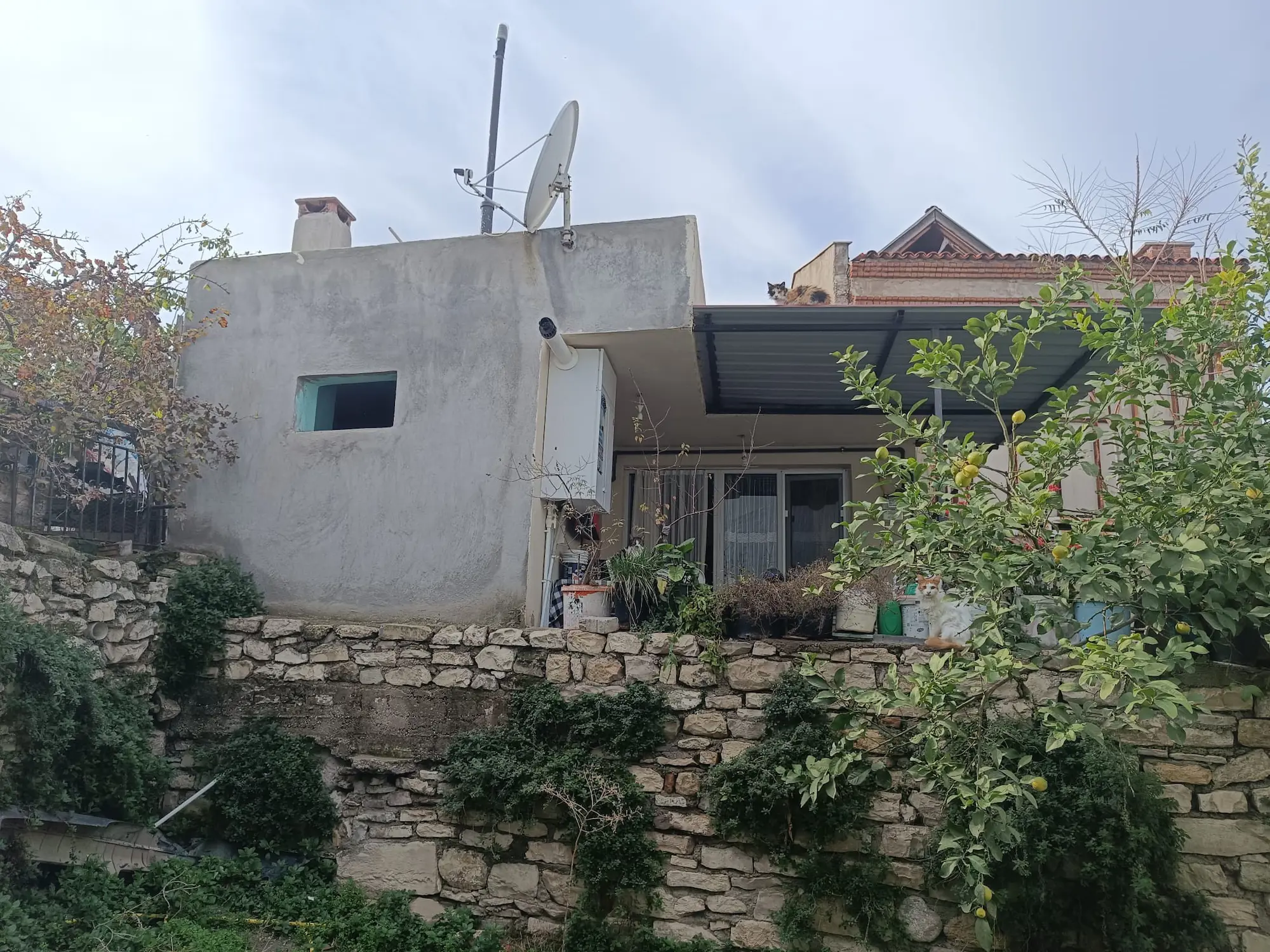 Property image 16