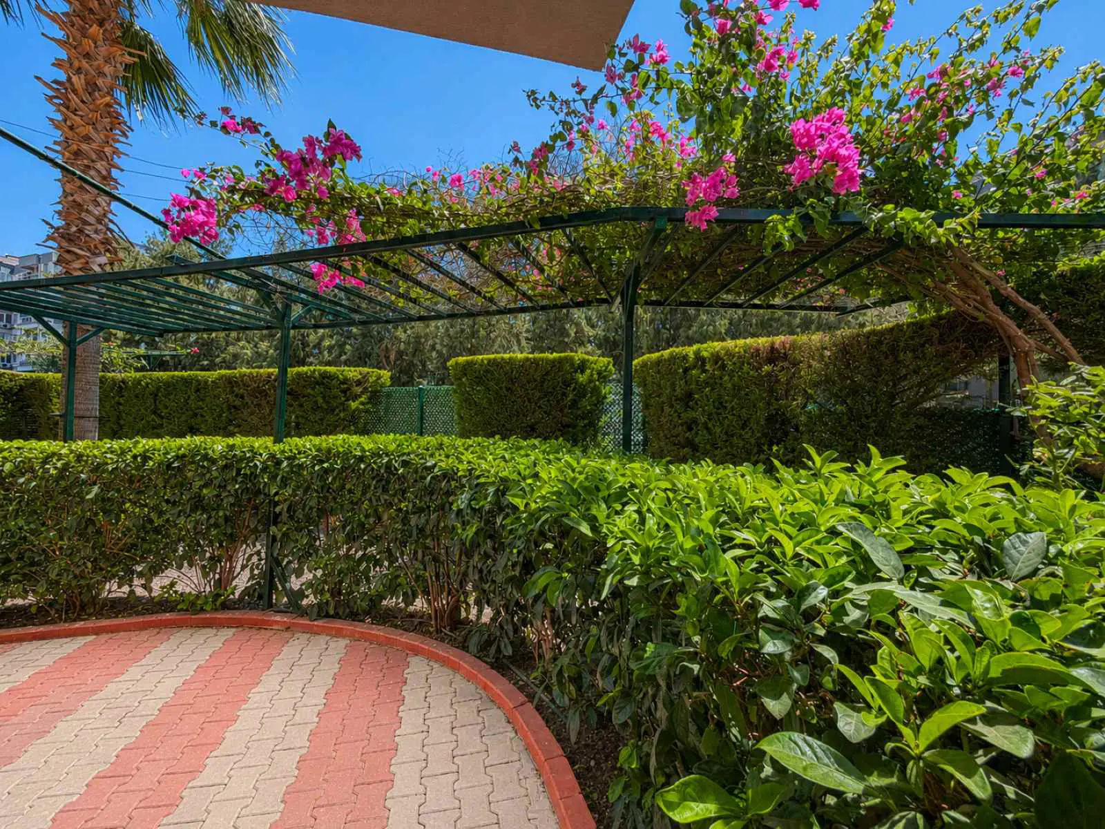 Property image 52
