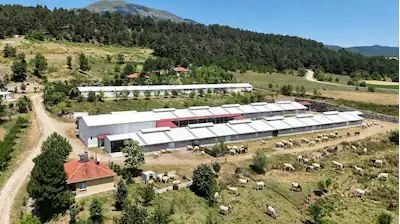 BOLU DEĞIRMENBELI'DE SATILIK KÜÇÜKBAŞ ÇIFLIĞI
