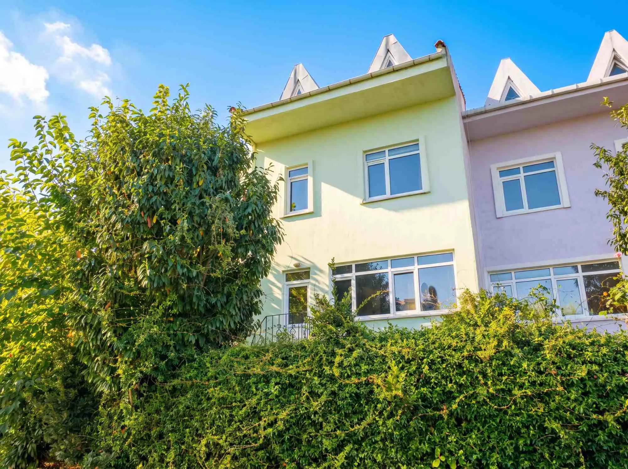 Property image 40