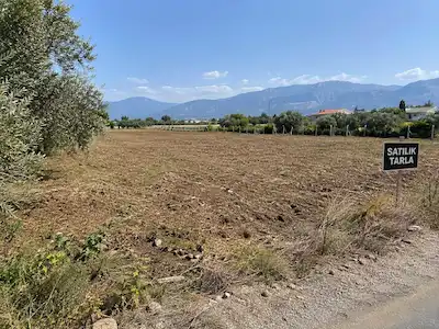 SERIK HACIOSMANLARDA SATILIK TARLA HISSESI