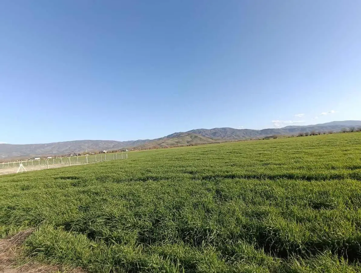 REMAX DOĞU'DAN DOĞANKUŞ TİLENZİKTE 3.935 M2 YOL CEPHELİ ARSA