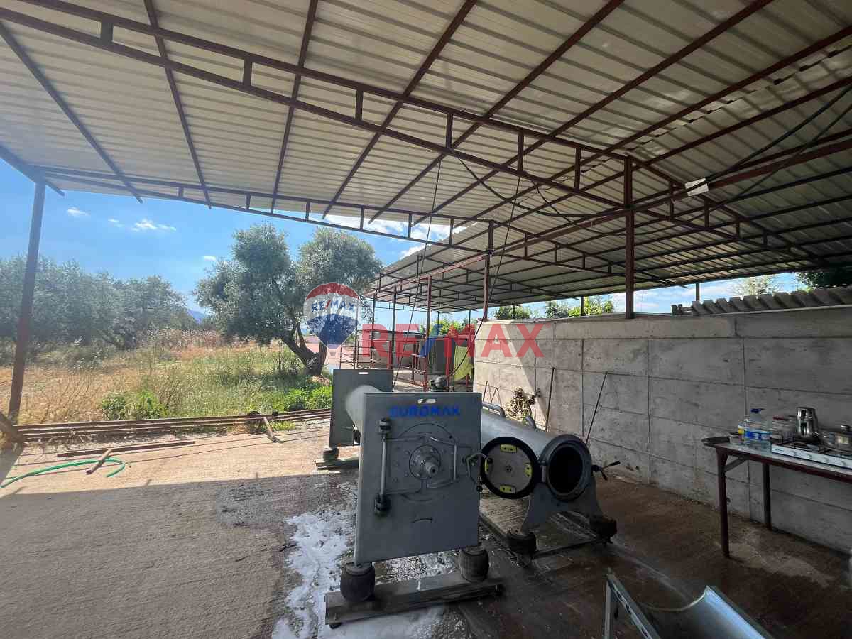 KEMALPAŞA ARMUTLUDA DEVREN KİRALIK HALI YIKAMA FABRİKASI