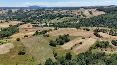 KÖRFEZ KALBURCU YOLA CEPHE SATILIK 3233 M² TARLA