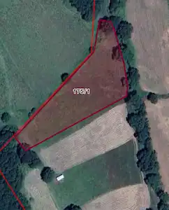 ÇATALCA BAŞAKKÖY ALEMOĞLUMEVKİİ TEKTAPU SAHİBİ SATILIK 5.324,58m