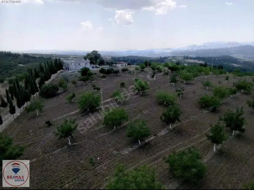 MANİSA GÖRDES YOLA CEPHE 121.000M2 SATILIK TARLA