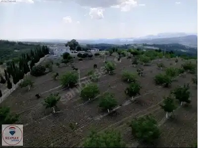 MANİSA GÖRDES YOLA CEPHE 121.000M2 SATILIK TARLA