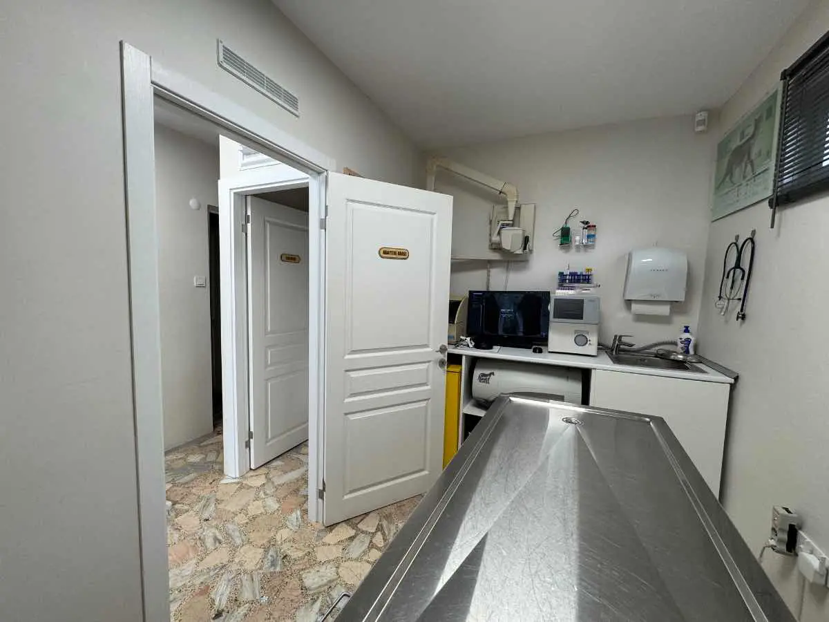 Property image 16