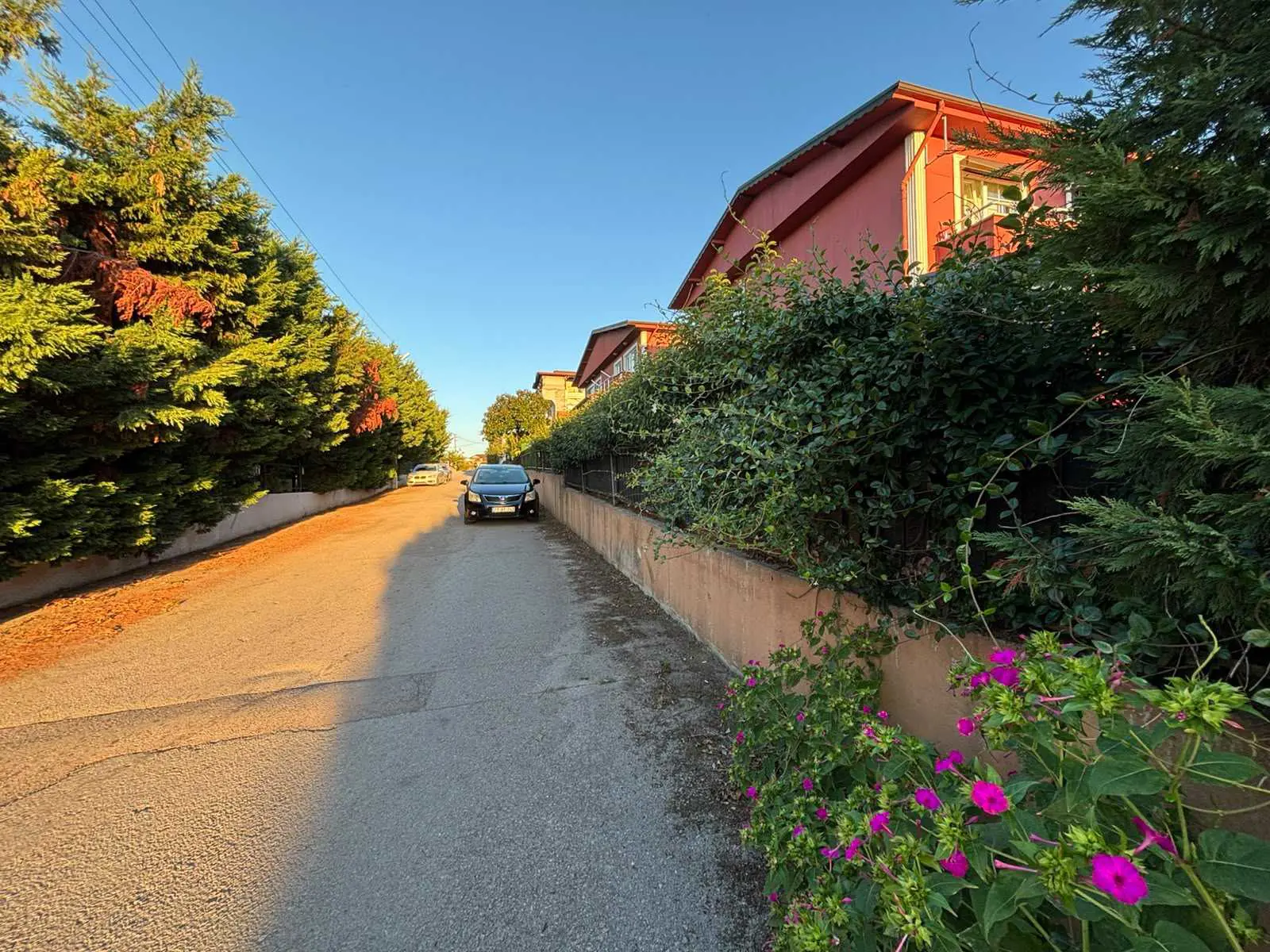 Property image 33