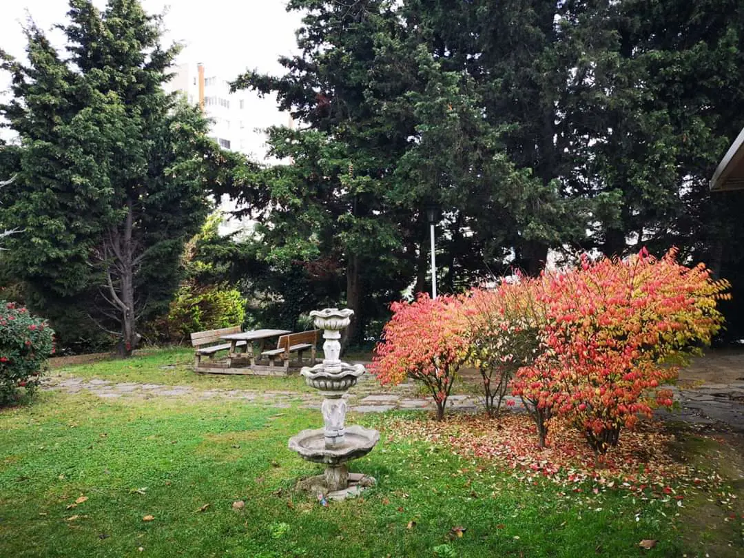 Property image 18