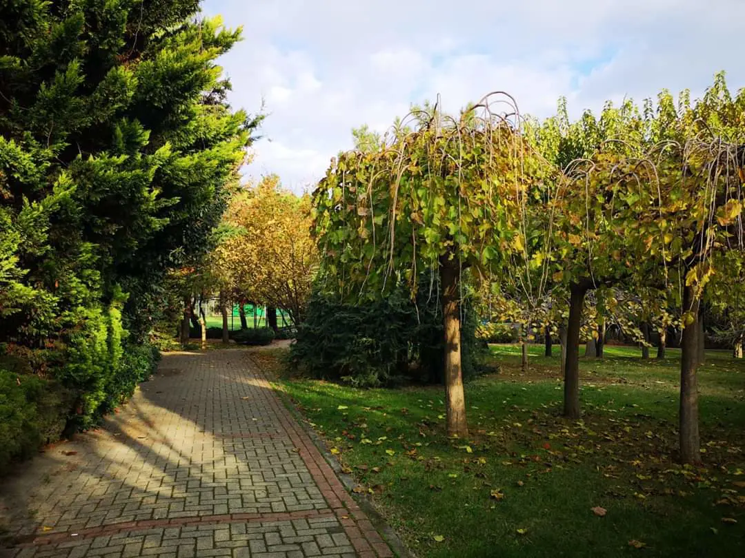 Property image 17