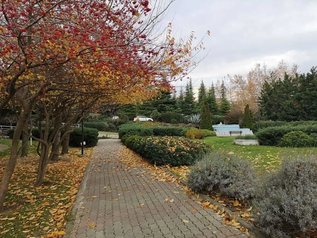 Property image 10