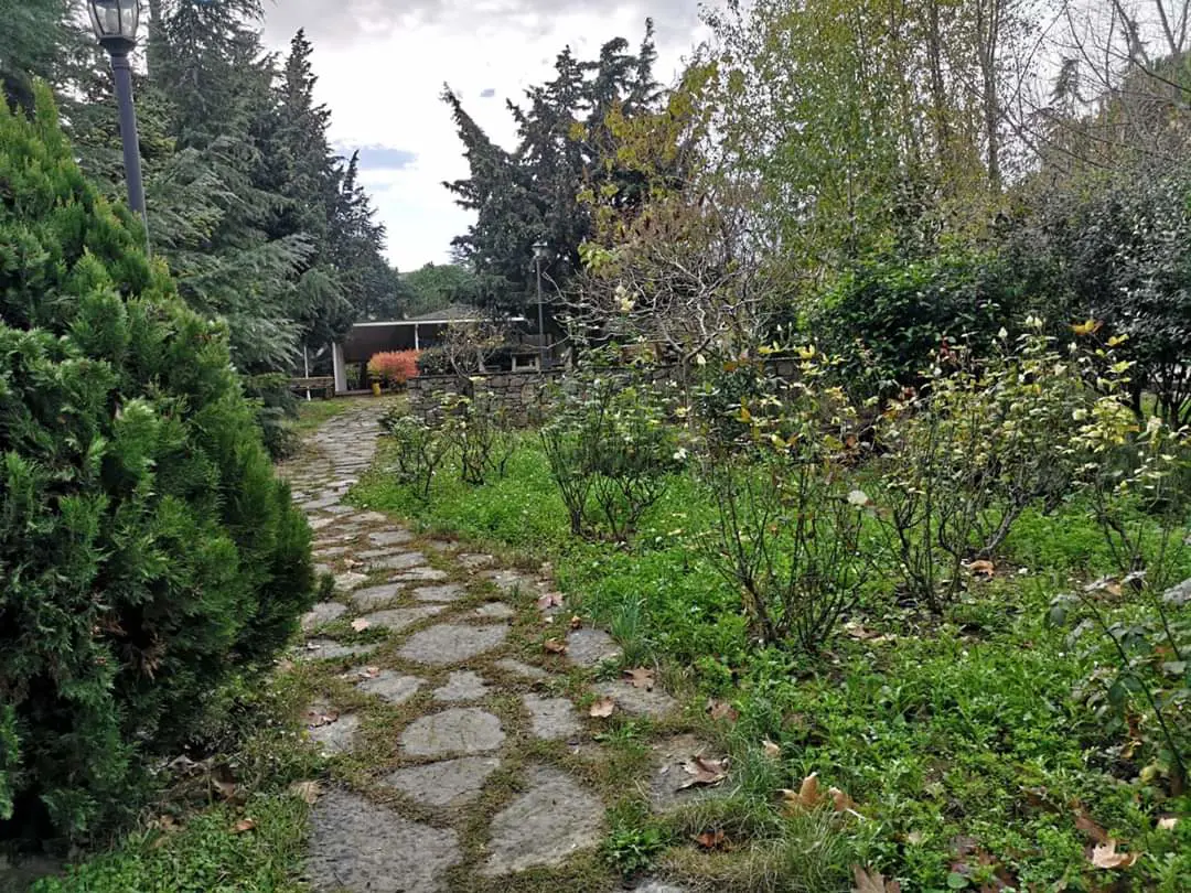 Property image 21