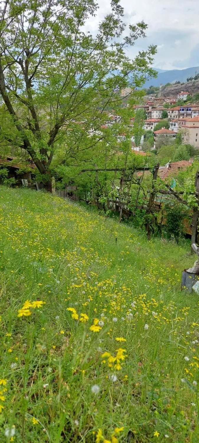 Property image 24